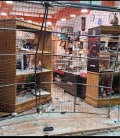 Violento robo a Joyería en Cipolletti: cinco sujetos asaltaron el comercio en 90 segundos
