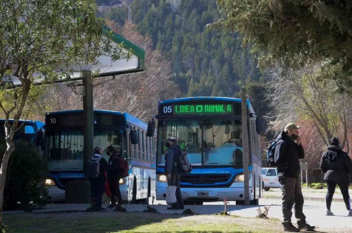 El transporte público en Junín de los Andes podría volver el miércoles