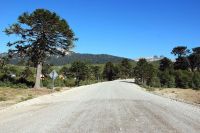 Provincia adjudicó la obra de pavimentación de la ruta a Moquehue