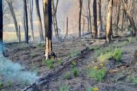 Neuquén: brigadistas refuerzan el monitoreo en Magdalena y mantienen controlado el foco en Loncopué