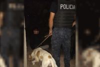 “Fito”, el perro policía que encontró a un hombre desaparecido en Mendoza