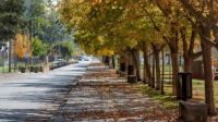 El pronóstico para Neuquén anticipa una máxima de 20°C y sin lluvias
