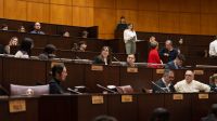 Reina defendió el control de asistencias y pidió narcotest voluntario para los diputados