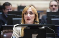 Impulsaron un proyecto para que las senadoras embarazadas puedan votar de forma virtual